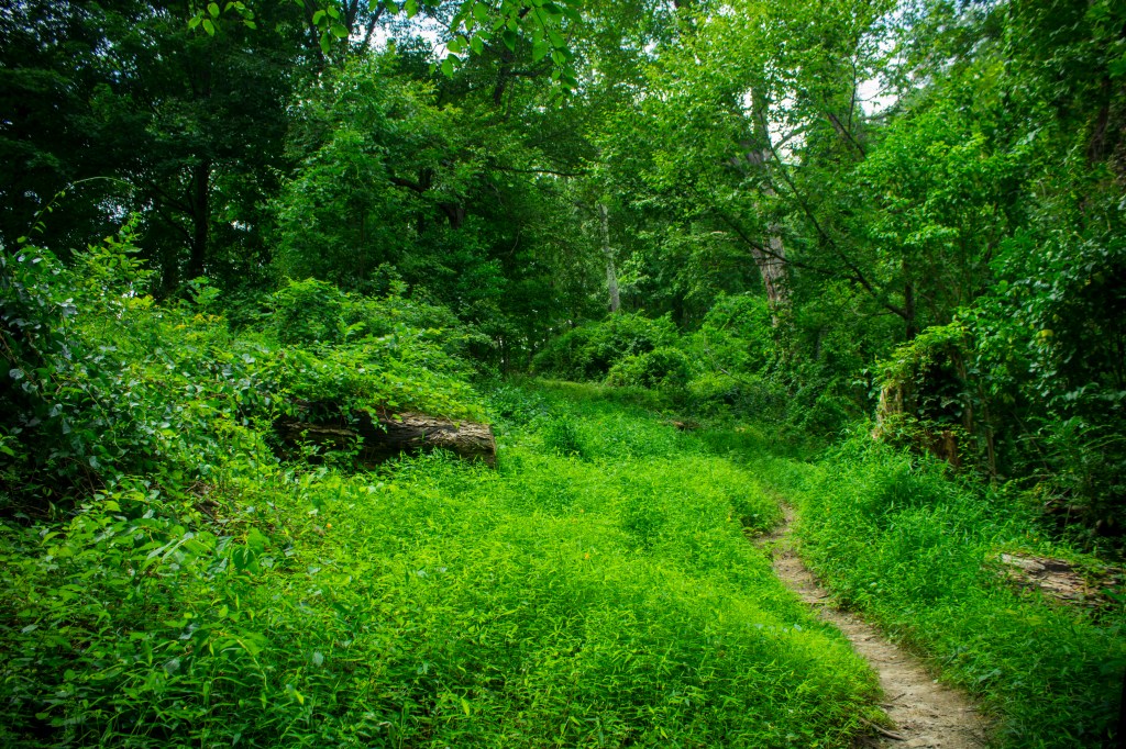 Lessons from the Appalachian Trail