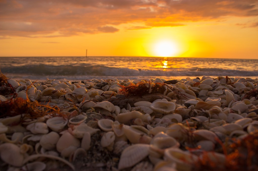 Managing You: Why You Must Keep a Personal Health Record