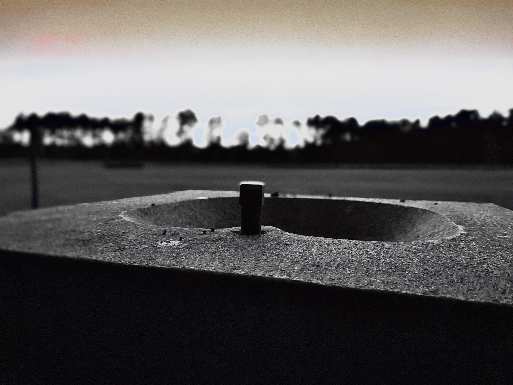 The Persistence of Loss