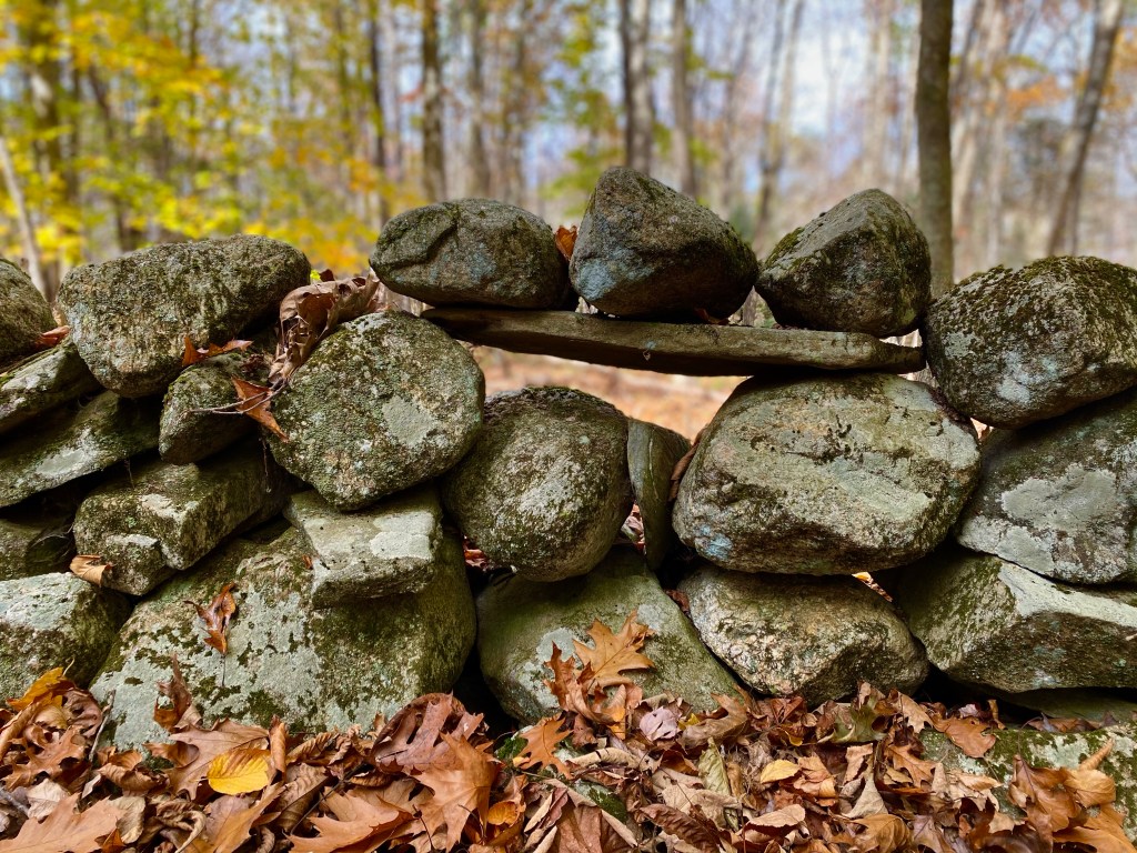 Live for Reason & Compassion: A Letter to My Daughter